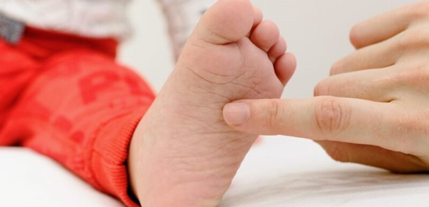 Κρούσματα κοξάκι και στη Μαγνησία