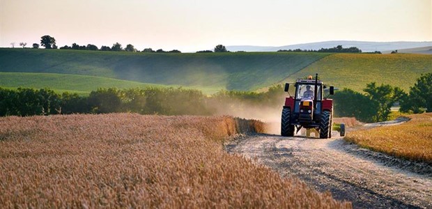 Τιμές... Μυκόνου για την ενοικίαση και αγορά ενός αγρού 