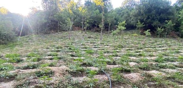 Ταυτοποιήθηκαν τα στοιχεία δύο ανδρών