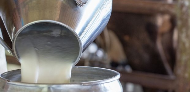 "Όχι" σε μποϊκοτάζ του ΙΝΚΑ στα γαλακτοκομικά