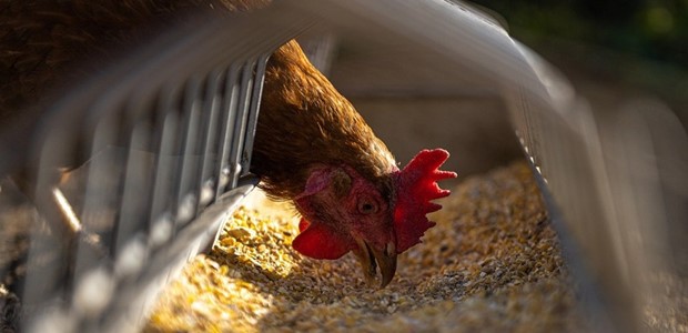 Με λουκέτο απειλείται πάνω από το 50% των επιχειρήσεων