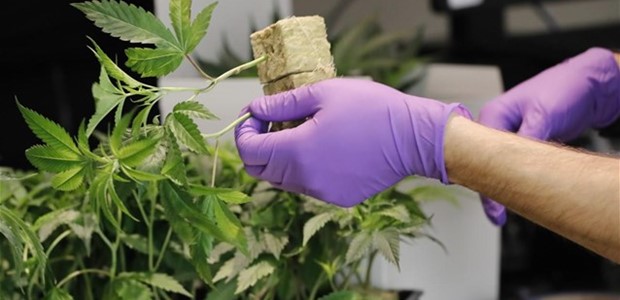 Δόθηκαν οι πρώτες 25 άδειες για επενδύσεις 360 εκατ. ευρώ