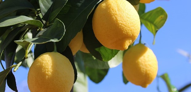 Μπλόκο σε λεμόνια και πιπεριές από την Τουρκία 
