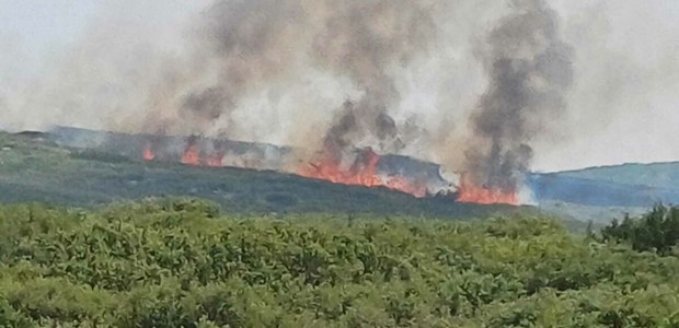 Σε εξέλιξη η φωτιά στο Ναρθάκιο όρος