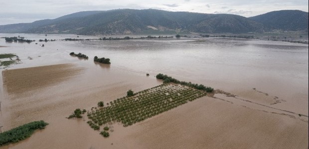 Με εντατικούς ρυθμούς προχωρούν αυτοψίες και καταγραφές