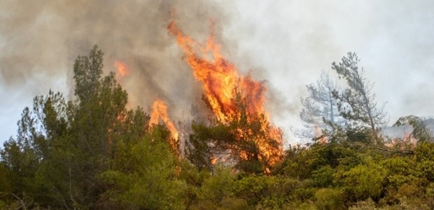 51 δασικές πυρκαγιές εκδηλώθηκαν το τελευταίο 24ωρο