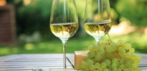Μειωμένη φέτος κατά 50% η παραγωγή σταφυλιού 