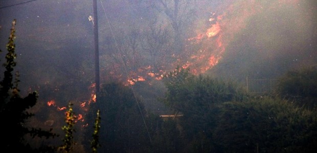 Ολονύχτια μάχη με τις φλόγες στην Μαγνησία