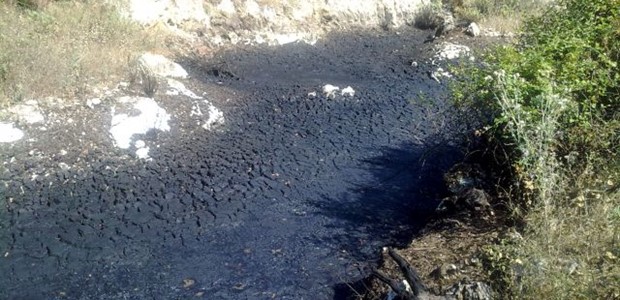 Ελαιουργός συνελήφθη για ρύπανση