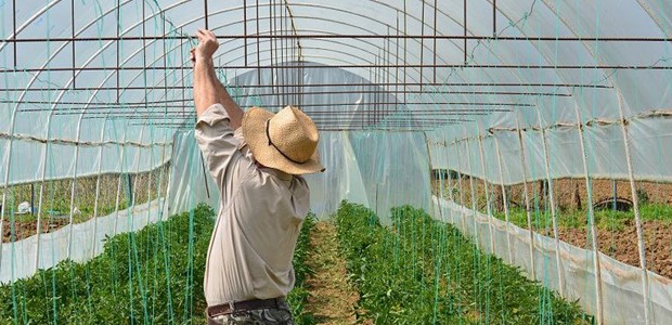 Θεσσαλία: Θέσεις για 14.000 εποχικούς εργάτες γης