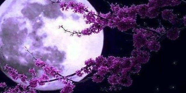 Απόψε το βράδυ στον ουρανό το «Φεγγάρι της Φράουλας»