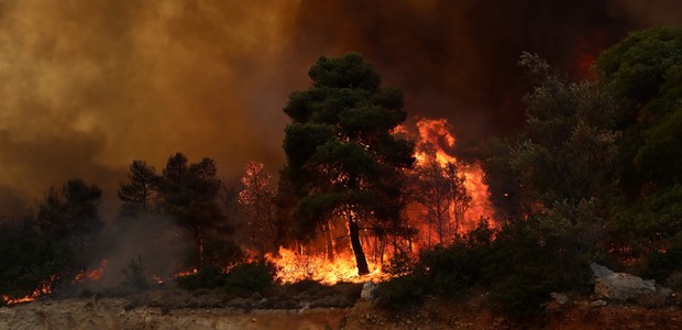 Σε ύφεση η φωτιά στον Εβρο