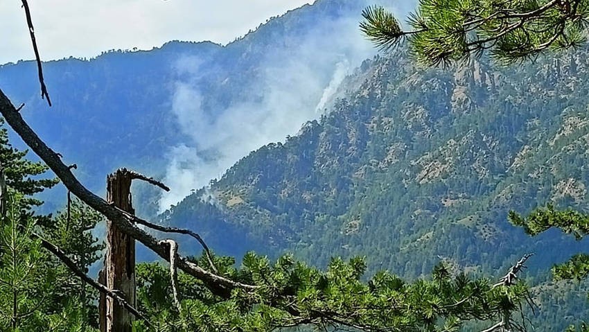 Έσβησε η φωτιά στον εθνικό δρυμό της Βάλια Κάλντα
