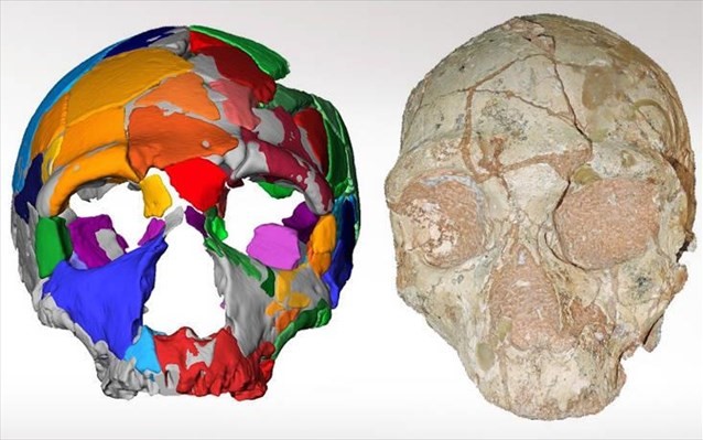 Ελληνικό το αρχαιότερο δείγμα Homo Sapiens