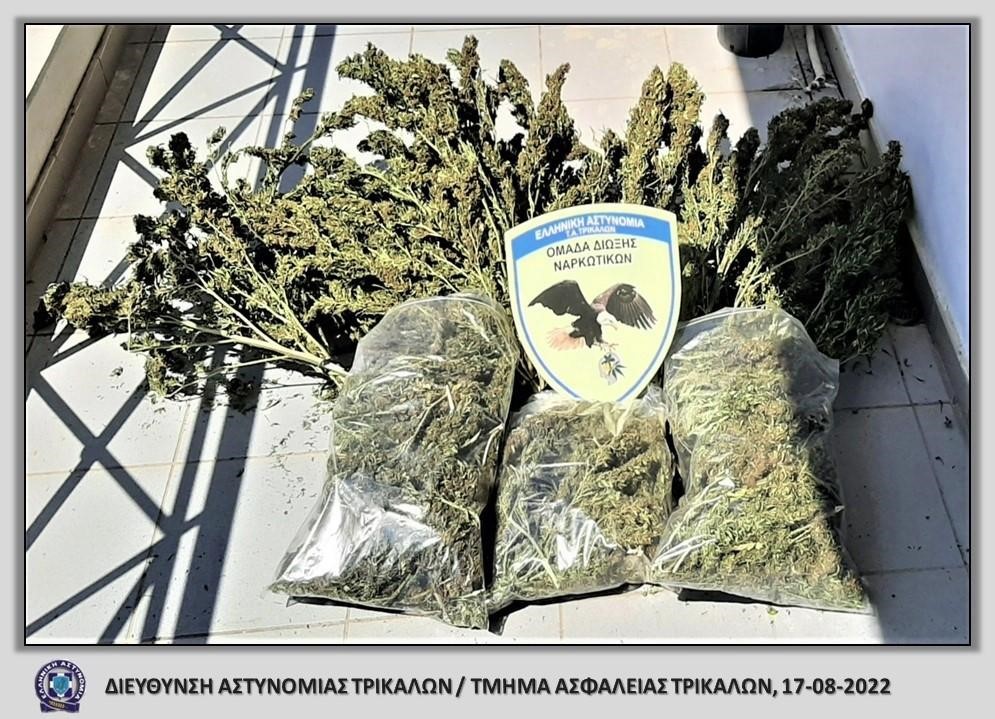 Δύο συλλήψεις για κατοχή και διακίνηση κάνναβης