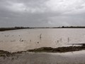 Σε 5 χρόνια θα μειωθεί ο κίνδυνος καταστροφών από βροχές
