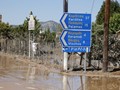 Τα μισά κουφάρια ζώων ακόμα στους δρόμους